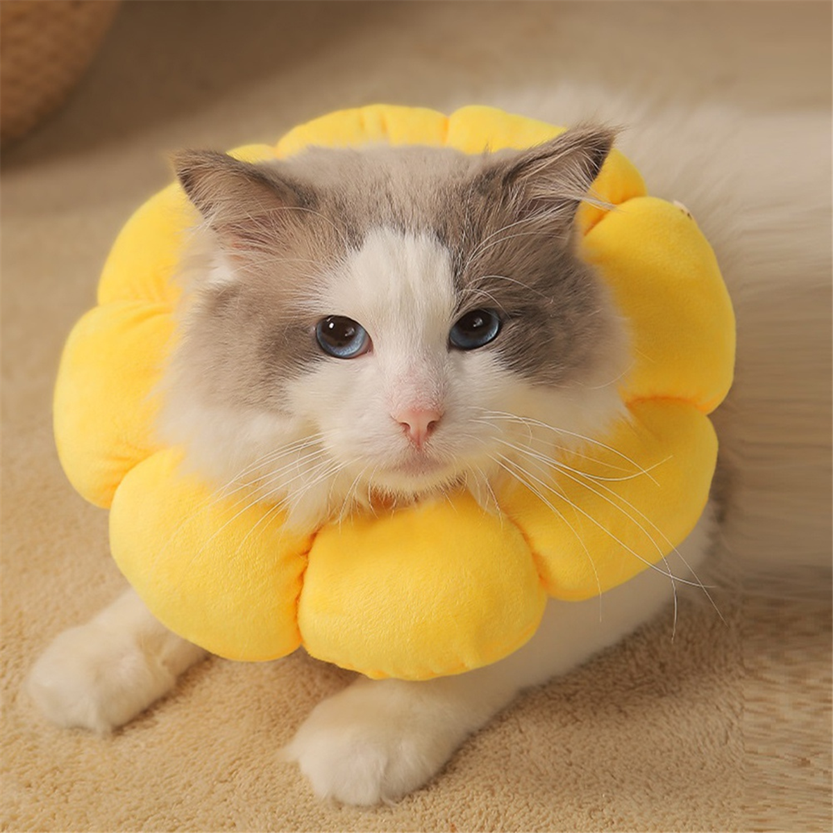 BodyLove High Support Sports Bra™